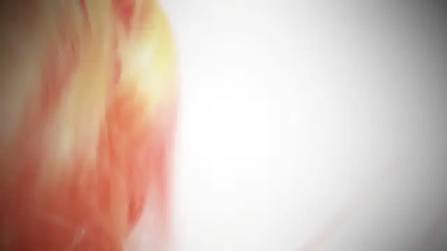 Snapshot of MayaAkashova chatting on November 1, 5:04 pm MayaAkashova online show from November 1, 5:04 pm