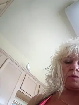 IMS BHAVEN online show from October 19, 3:45 pm