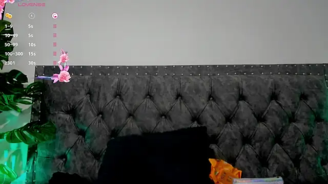 Dounia nagi online show from January 25, 12:26 pm