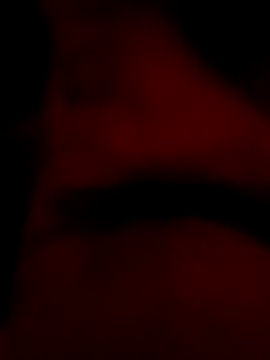 Snapshot of roccosif696 chatting on January 25, 6:46 pm roccosif696 online show from January 25, 6:46 pm