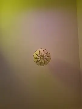 cuci45 online show from October 11, 6:28 pm