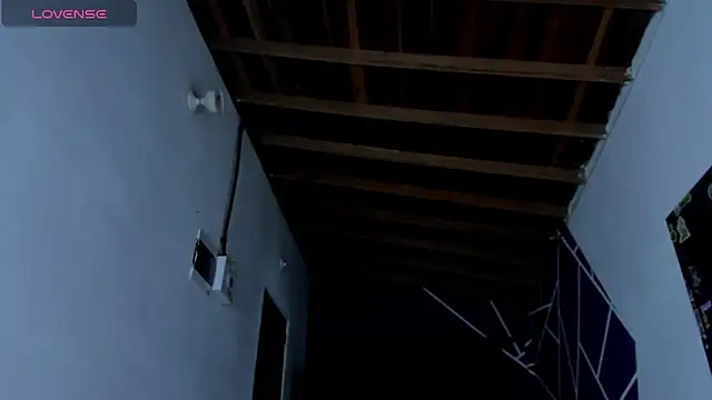 ink demonxxx online show from March 21, 3:33 am