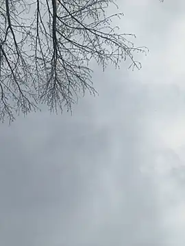 Snapshot of Iceblanca chatting on March 19, 9:58 pm Iceblanca online show from March 19, 9:58 pm