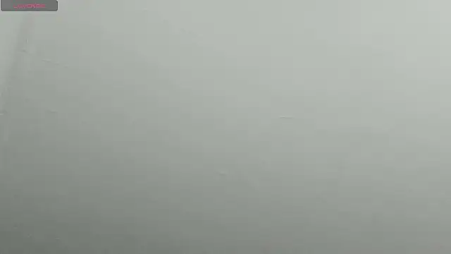 Snapshot of natasha_logan_ chatting on February 9, 4:25 am natasha logan online show from February 9, 4:25 am