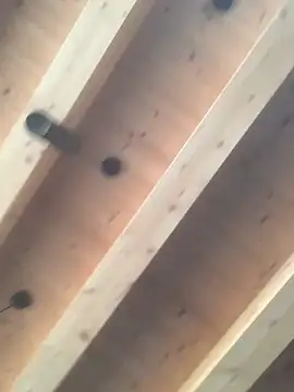 Fellix online show from December 11, 11:30 am