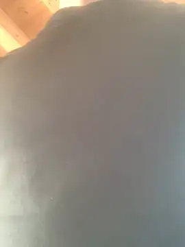 Fellix online show from February 17, 11:34 am