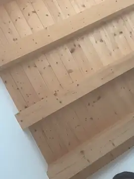 Fellix online show from February 24, 11:43 am