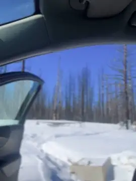 GoldenFlameGoddess online show from March 6, 7:54 pm