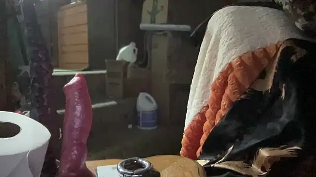 44jon44 online show from November 26, 3:40 am