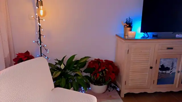 anabelcurvy online show from December 8, 4:07 pm