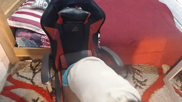 Snapshot of sexyjustin202 chatting on October 9, 1:58 am sexyjustin202 online show from October 9, 1:58 am