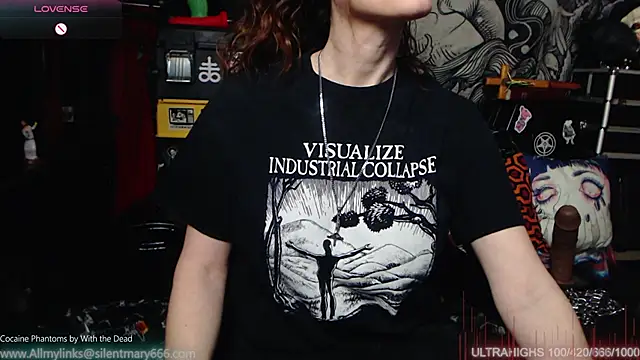 Silentmary online show from February 12, 2:45 am