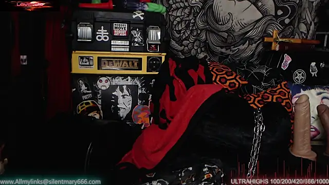 Silentmary online show from February 18, 11:52 pm