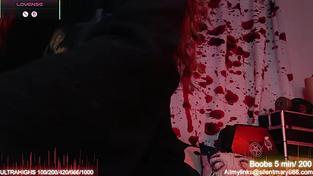 Silentmary online show from November 10, 2:54 am