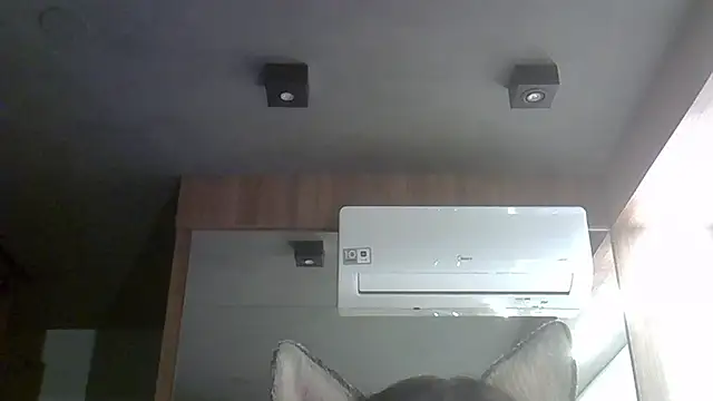 Skinny-Kitten online show from October 4, 12:30 am