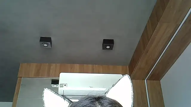 Skinny-Kitten online show from October 12, 2:27 pm