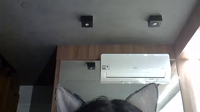 Skinny-Kitten online show from October 20, 1:39 am