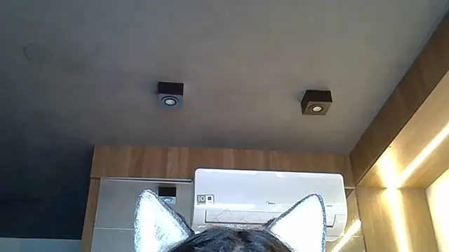 Skinny-Kitten online show from November 1, 9:33 am