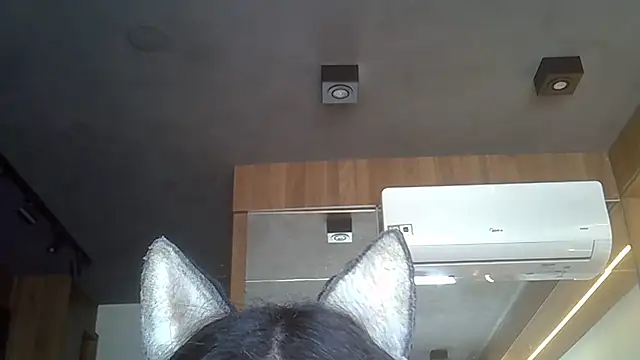 Skinny-Kitten online show from November 19, 12:16 pm