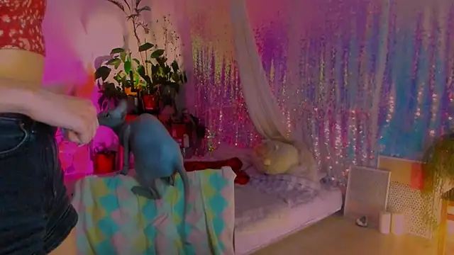 poli   online show from February 6, 2:58 pm