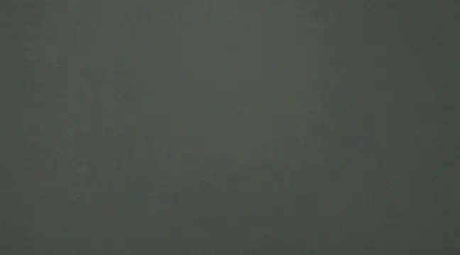 Snapshot of Gipoltergeist chatting on December 9, 2:24 am Gipoltergeist online show from December 9, 2:24 am