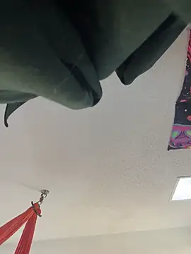 Snapshot of Terrafirma chatting on January 27, 4:11 pm Terrafirma online show from January 27, 4:11 pm