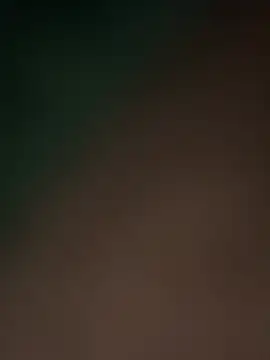 Snapshot of Terrafirma chatting on February 16, 11:49 am Terrafirma online show from February 16, 11:49 am