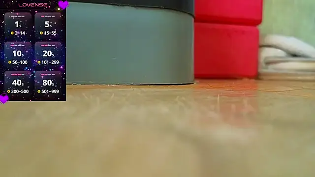 Miss Flexi fit online show from February 10, 10:09 am