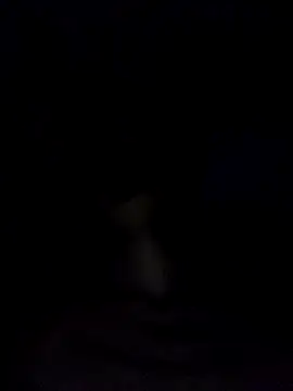 Snapshot of Bigcockmexi13 chatting on March 21, 12:40 am Bigcockmexi13 online show from March 21, 12:40 am