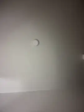 Snapshot of MichelleFerry_ chatting on December 16, 7:37 am MichelleFerry online show from December 16, 7:37 am