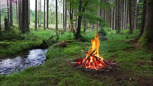 Snapshot of rusbigpaul chatting on February 12, 7:13 pm rusbigpaul online show from February 12, 7:13 pm