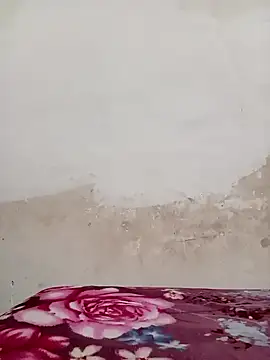 09punjabi online show from December 19, 11:07 am