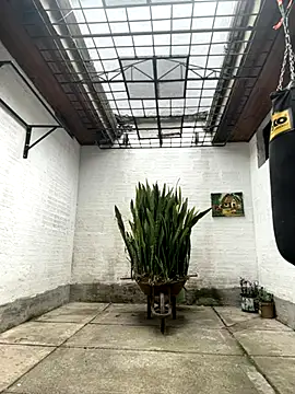 oliver price1 online show from October 15, 7:14 pm