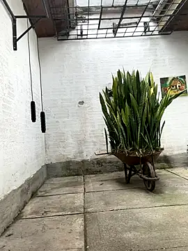 oliver price1 online show from October 21, 3:13 pm