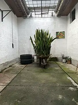 oliver price1 online show from November 12, 9:14 pm